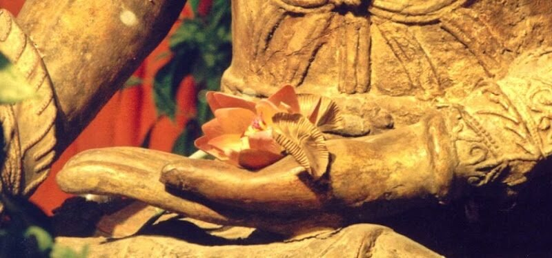 Ayurveda Massage & Lomi Lomi Massage für Frauen