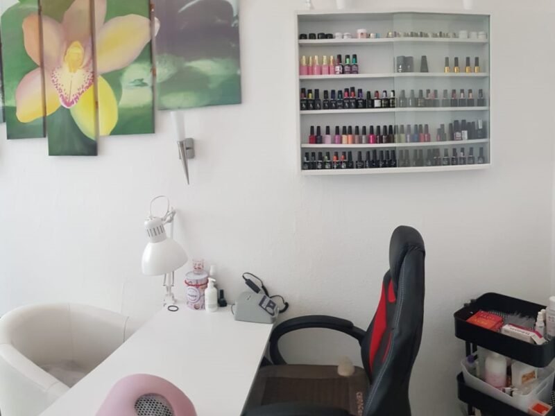 Little Holiday Studio