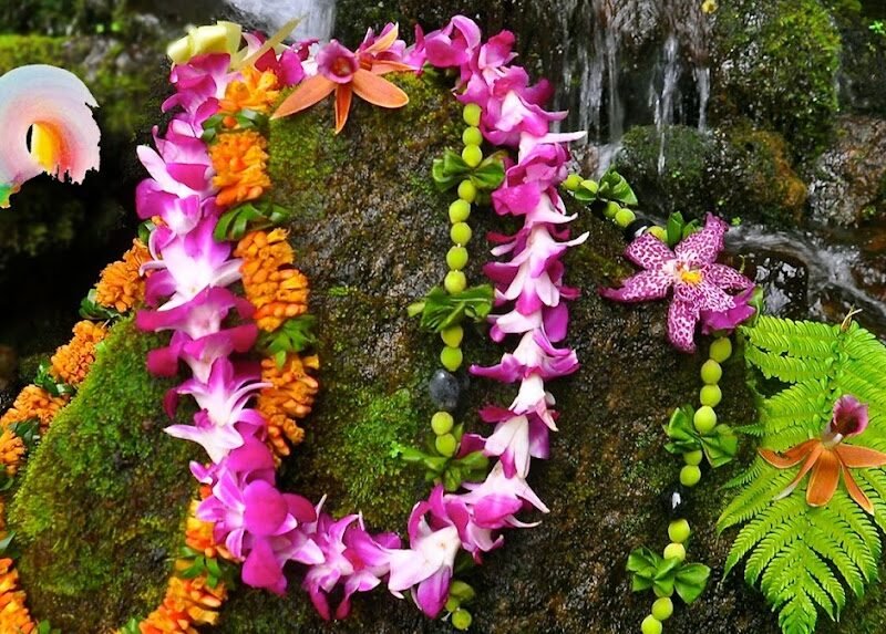 Lomi Lomi in Stuttgart