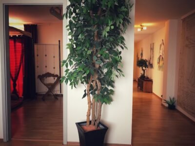 Amakido Berührungskunst