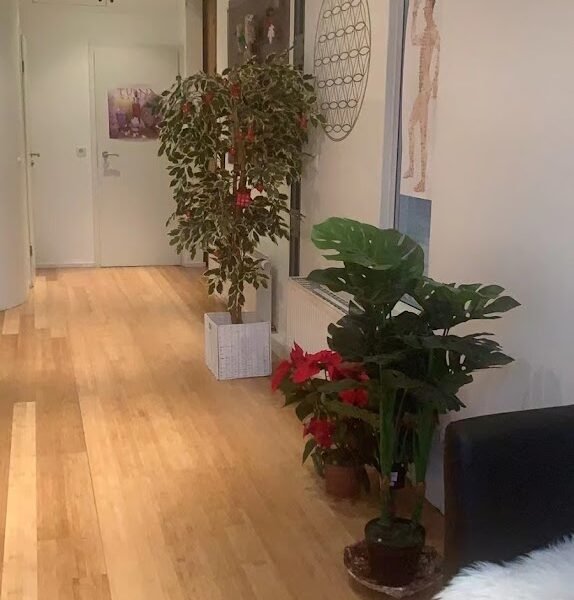 China-Japan Tuina Massage