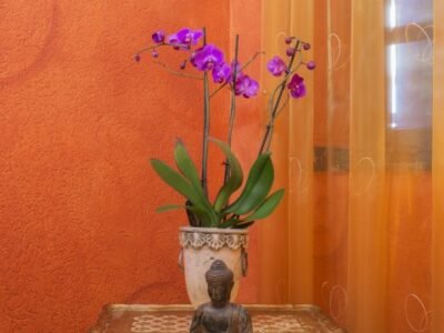 Tantrawelten Tantramassage