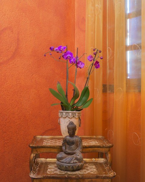 Tantrawelten Tantramassage