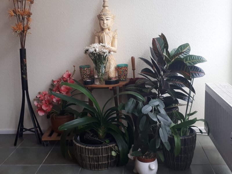 Nitiyas Thaimassage in Frankfurt