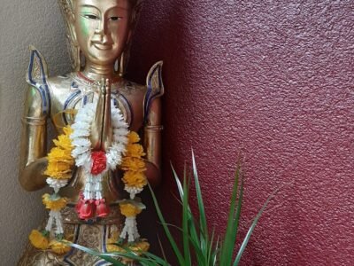 Manida Thai-Massage & Wellness