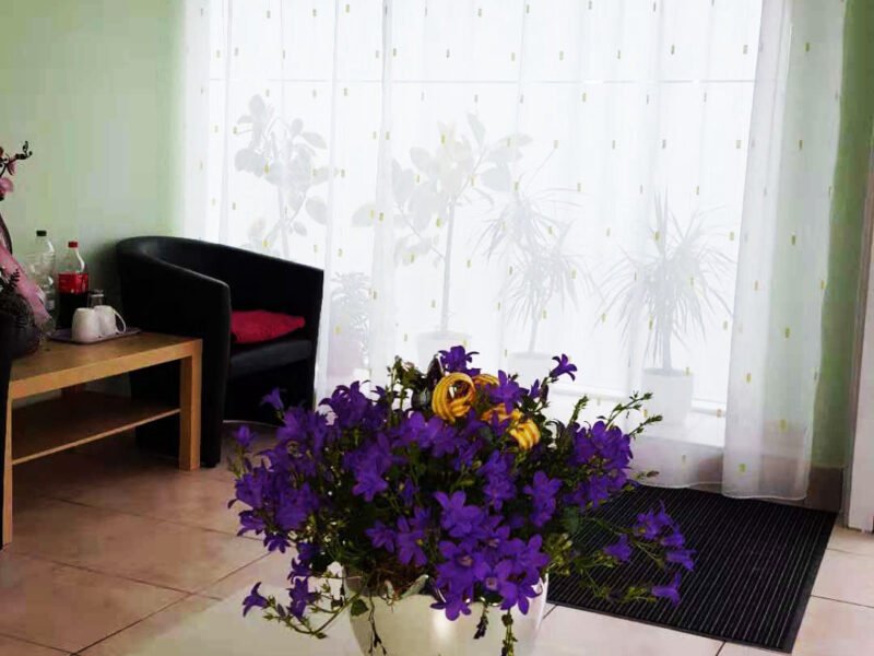 Wellness Chinamassage